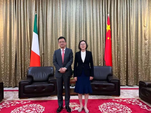 非凡策略 北仲主任郭卫一行拜会中国驻意大利使馆