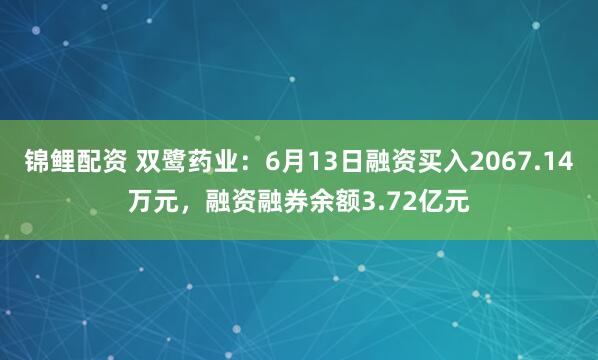 锦鲤配资 双鹭药业：6月13日融资买入2067.14万元，融资融券余额3.72亿元
